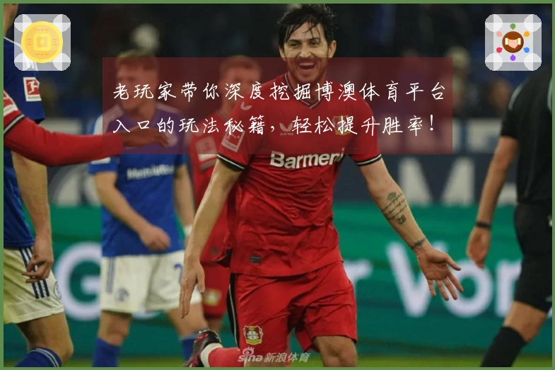 老玩家带你深度挖掘博澳体育平台入口的玩法秘籍，轻松提升胜率！